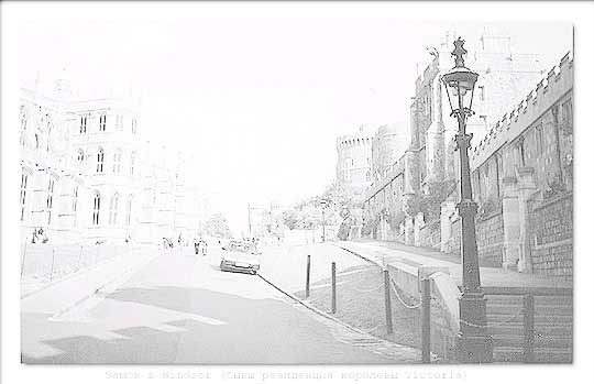 Рис. 9. Внешний вид фотографии после корректировки непрозрачности