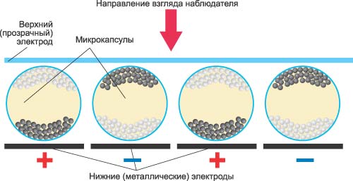Схематическое изображение структуры дисплея на базе электронных чернил