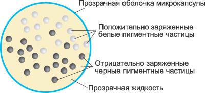 Микрокапсула основной структурный элемент дисплеев на базе электронных чернил
