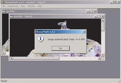 Рис. 2. Результат удачной идентификации изображения