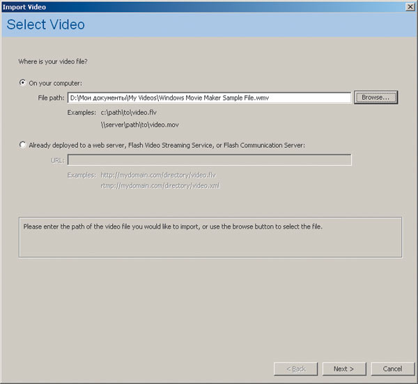 Рис. 19. Пример работы Video Import Wizard