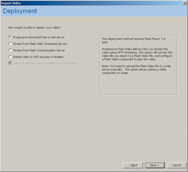 Рис. 20. Пример работы Video Import Wizard