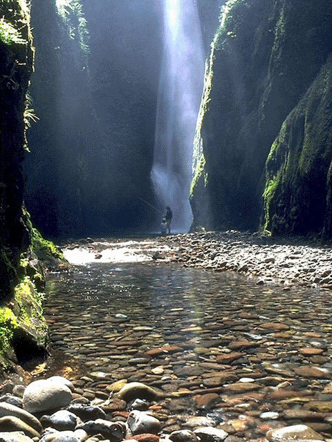 Рис. 27. Исходная фотография