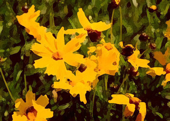 Рис. 5. Имитация техники сухой кисти