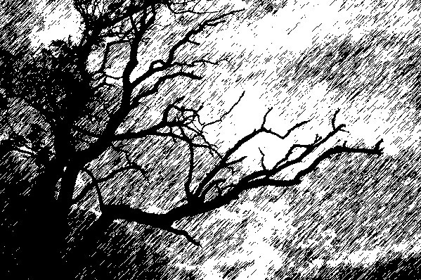 Рис. 50. Рисунок черным карандашом, полученный из фотографии