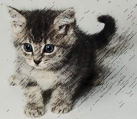 Рис. 53. Цветной рисунок, полученный из фотографии