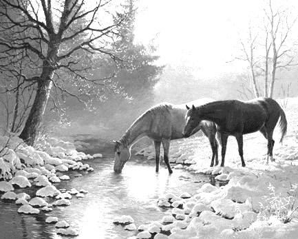 Рис. 55. Изображение после корректировки дублирующего слоя