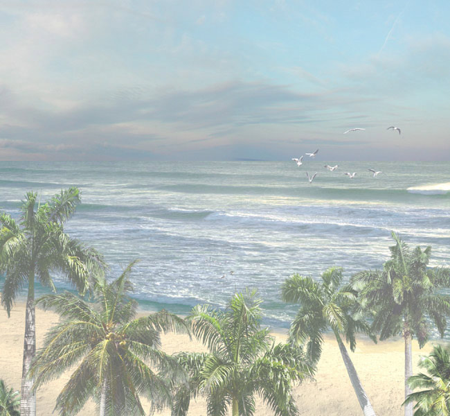 Рис. 7. Результат корректировки степени освещенности