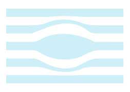 Рис. 40. Изображение после применения инструмента Bloat Tool