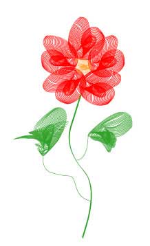 Рис. 72. Цветок, почти полностью состоящий из вписанных в спирали линий