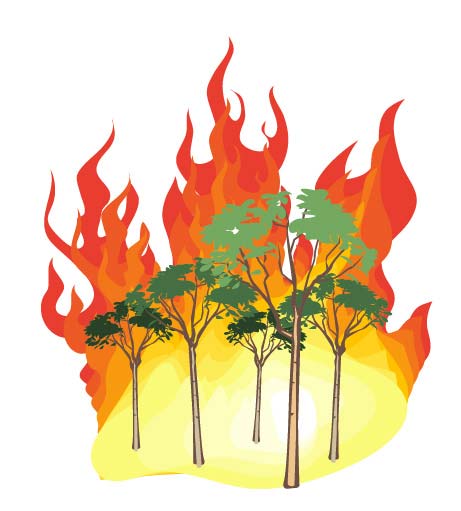 Рис. 17. Изображение после добавления еще одного символа