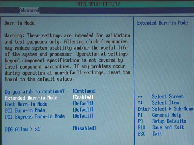Рис. 14. Включение режима Extended Burn-in Mode в меню настроек BIOS Setup