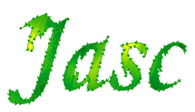 Рис. 124. Внешний вид текста после редактирования его как векторного контура