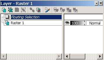 Рис. 80. Состояние палитры Layer после создания текстового объекта в виде плавающей выделенной области