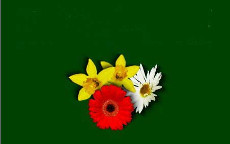 Рис. 96. Исходное изображение