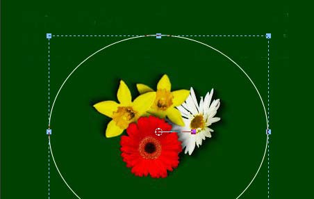 Рис. 97. Созданный векторный контур