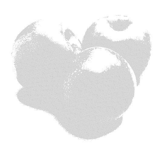 Рис. 26. Изображение после наложения фильтра Photo Crosshatch