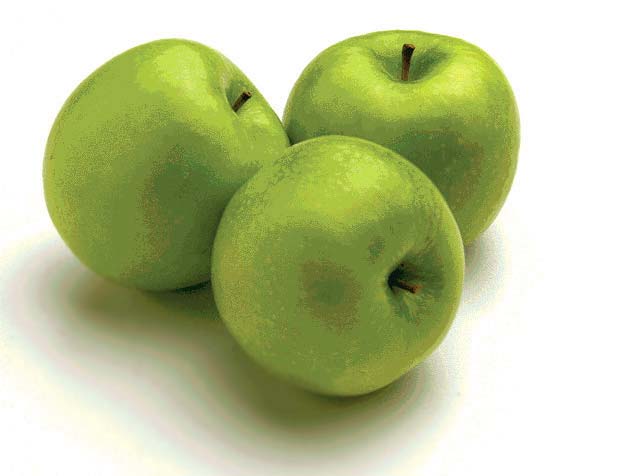 Рис. 30. Изображение после оконтуривания