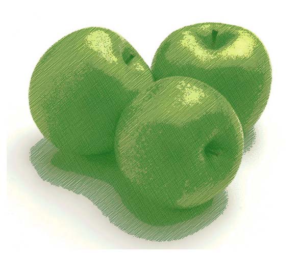 Рис. 33. Окончательный вид растрового изображения со штриховкой