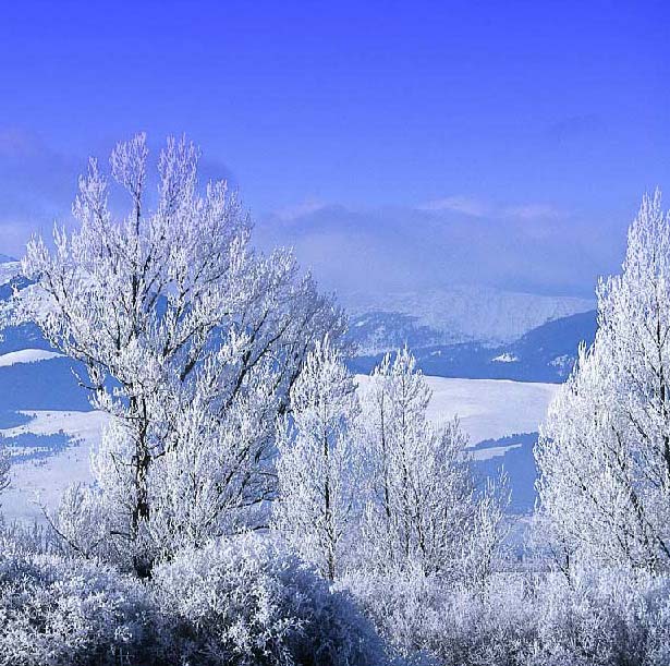 Рис. 34. Исходное изображение