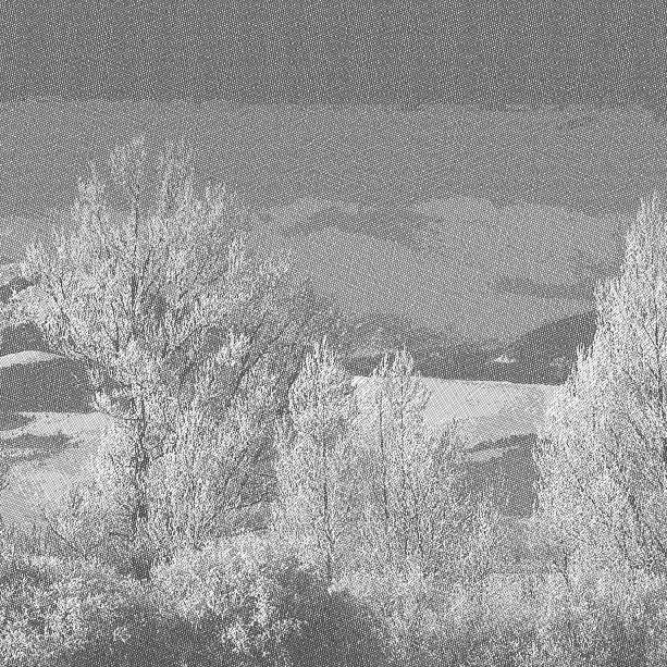 Рис. 36. Карандашный рисунок, сделанный из фотографии