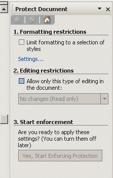 Рис. 6. Панель Protect Document