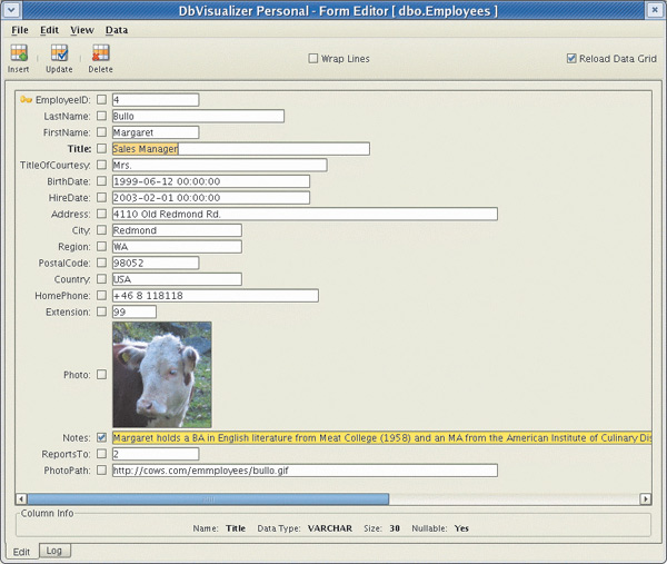 Формы DbVisualizer для редактирования данных