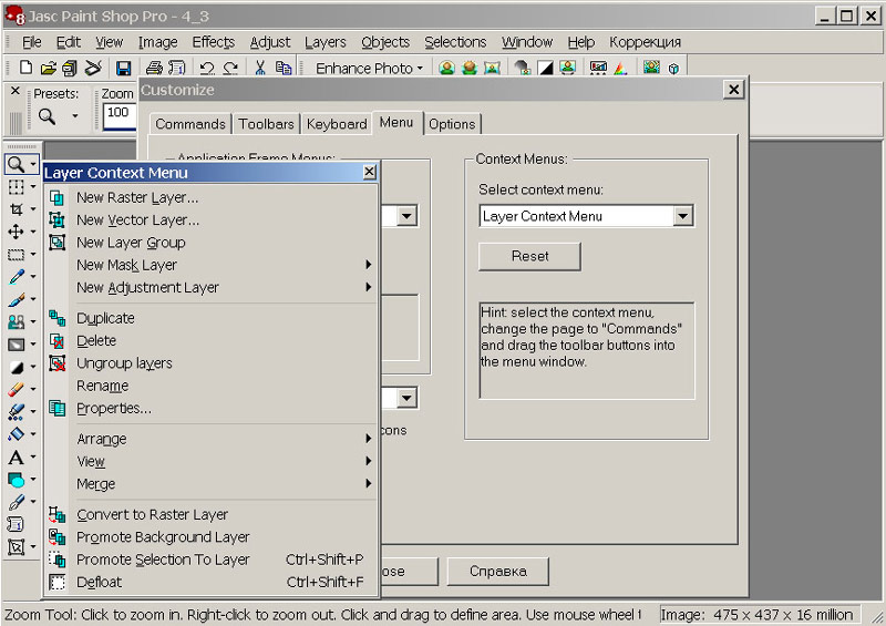 Рис. 12. Окно контекстного меню Layer Context Menu