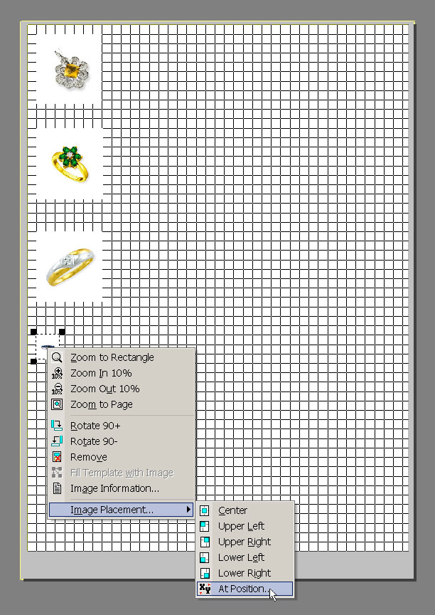 Рис. 32. Окно Print Layout после окончательного размещения изображений