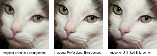 Рис. 2. Пример обработки той же фотографии с помощью программы Imagener 