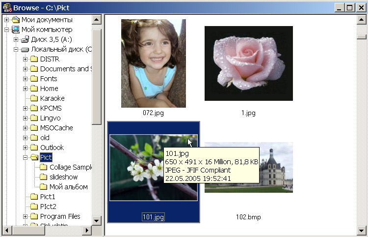Рис. 1. Просмотр изображений в окне Browse
