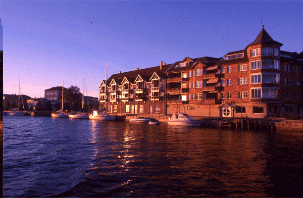 Рис. 35. Изображение с водяным знаком