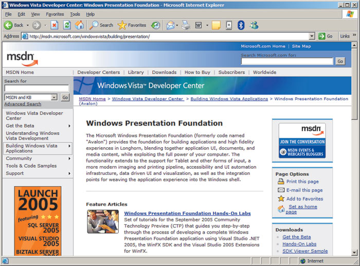 Раздел, посвященный Windows Presentation Foundation