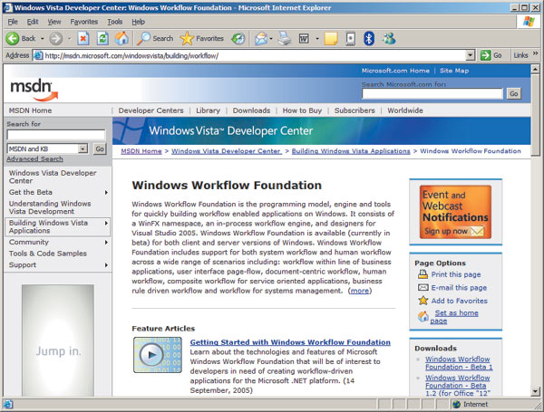 Раздел, посвященный Windows Workflow Foundation