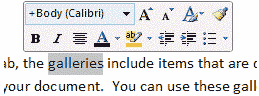 Mini-Toolbar