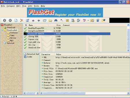 FlashGet 1.72