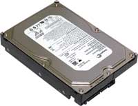 Seagate Barracuda 7200.9 3250624AS