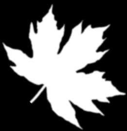 Рис. 34. Первая текстура