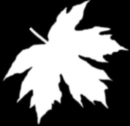 Рис. 35. Вторая текстура