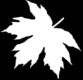 Рис. 36. Третья текстура