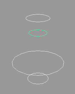 Рис. 19. Исходные элементы loft-объекта