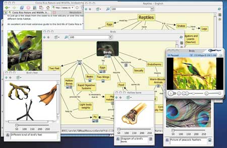 Возможности CmapTools по добавлению мультимедийных данных