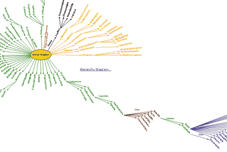 Возможности AXON Idea Processor по представлению сложных иерархических структур