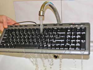 Клавиатуры принимают водные процедуры Клавиатуры принимают водные процедуры