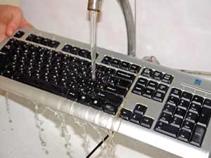 Клавиатуры принимают водные процедуры Клавиатуры принимают водные процедуры