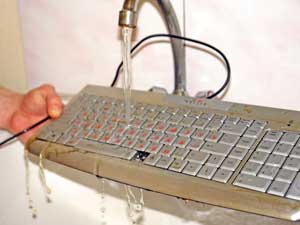 Клавиатуры принимают водные процедуры Клавиатуры принимают водные процедуры