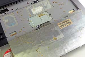 Клавиатура Toshiba Tecra A8 не отделена от корпуса водонепроницаемой перегородкой Клавиатура Toshiba Tecra A8 не отделена от корпуса водонепроницаемой перегородкой