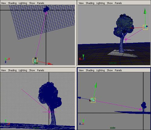 Рис. 41. Появление камеры