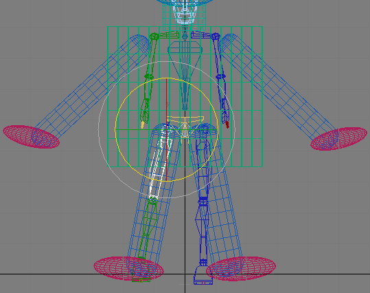 Рис. 21. Вращение правой бедренной кости в проекции Front