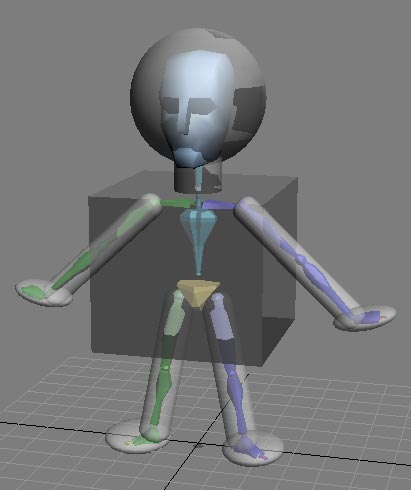 Рис. 26. Вид скелета, помещенного в оболочку в окне Perspective